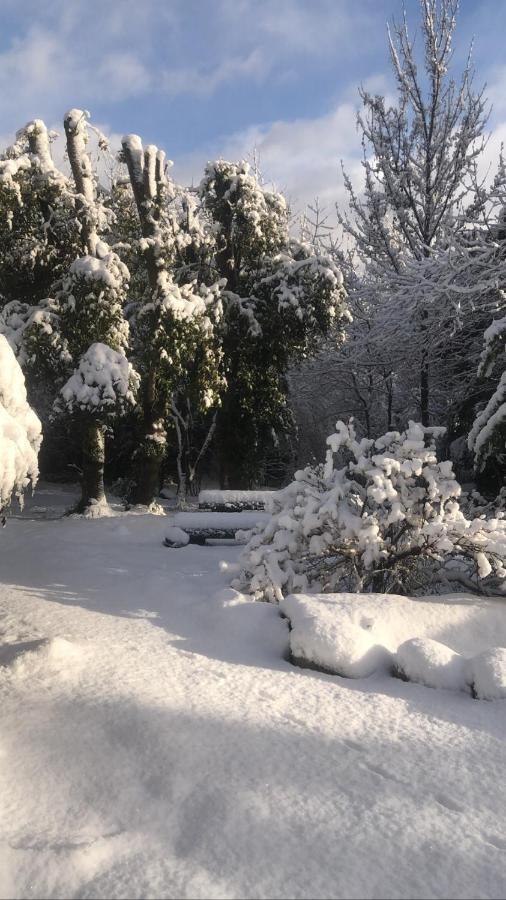 Cuatro Cerros Hostel San Carlos de Bariloche Kültér fotó